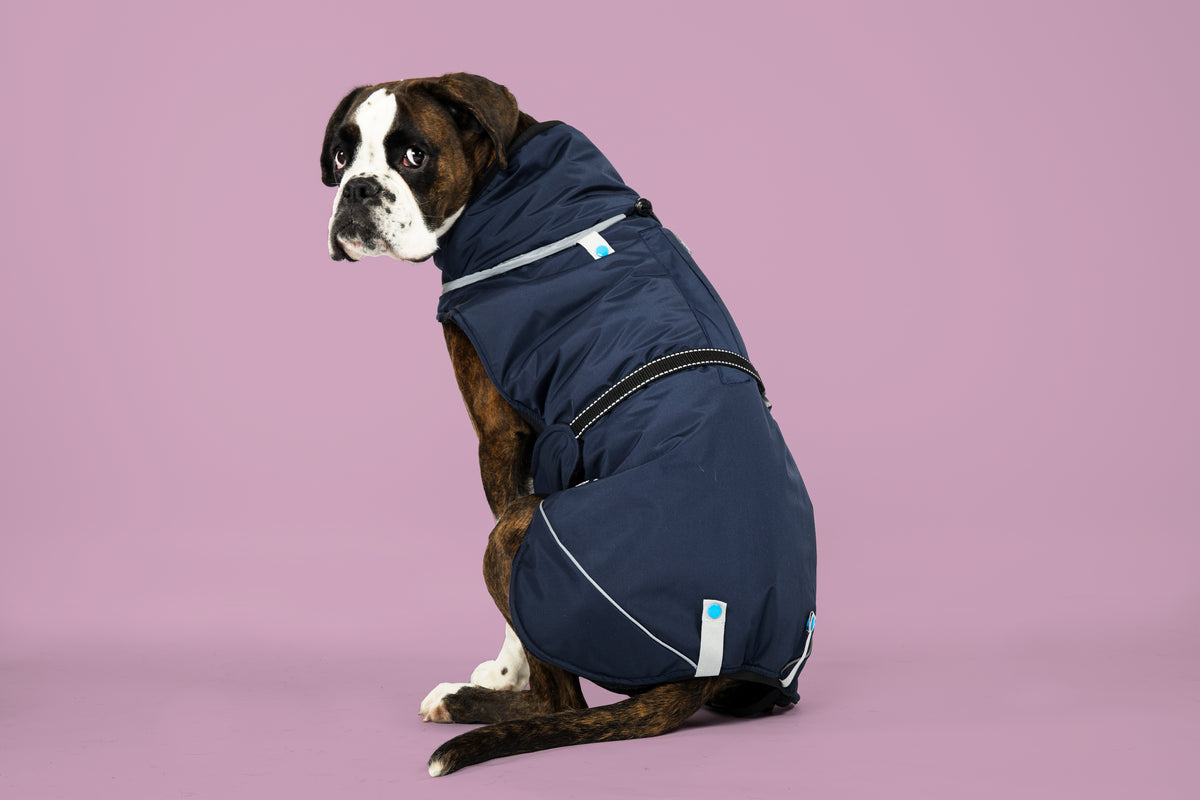 Winter jacket (M, L, XL, 2XL)