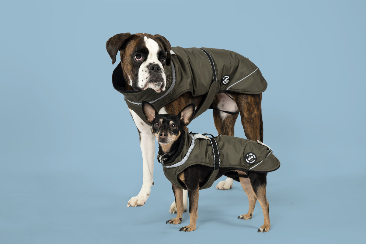 Winter jacket (M, L, XL, 2XL)