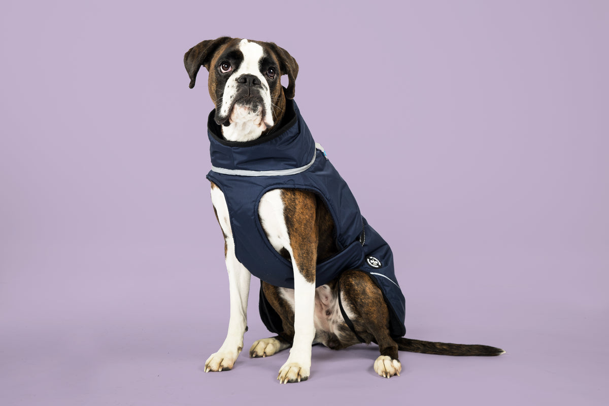 Winter jacket (M, L, XL, 2XL)