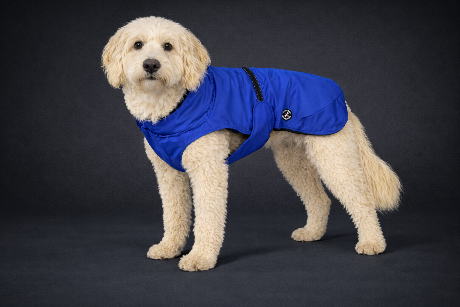 Rain jacket (M, L, XL, 2XL)