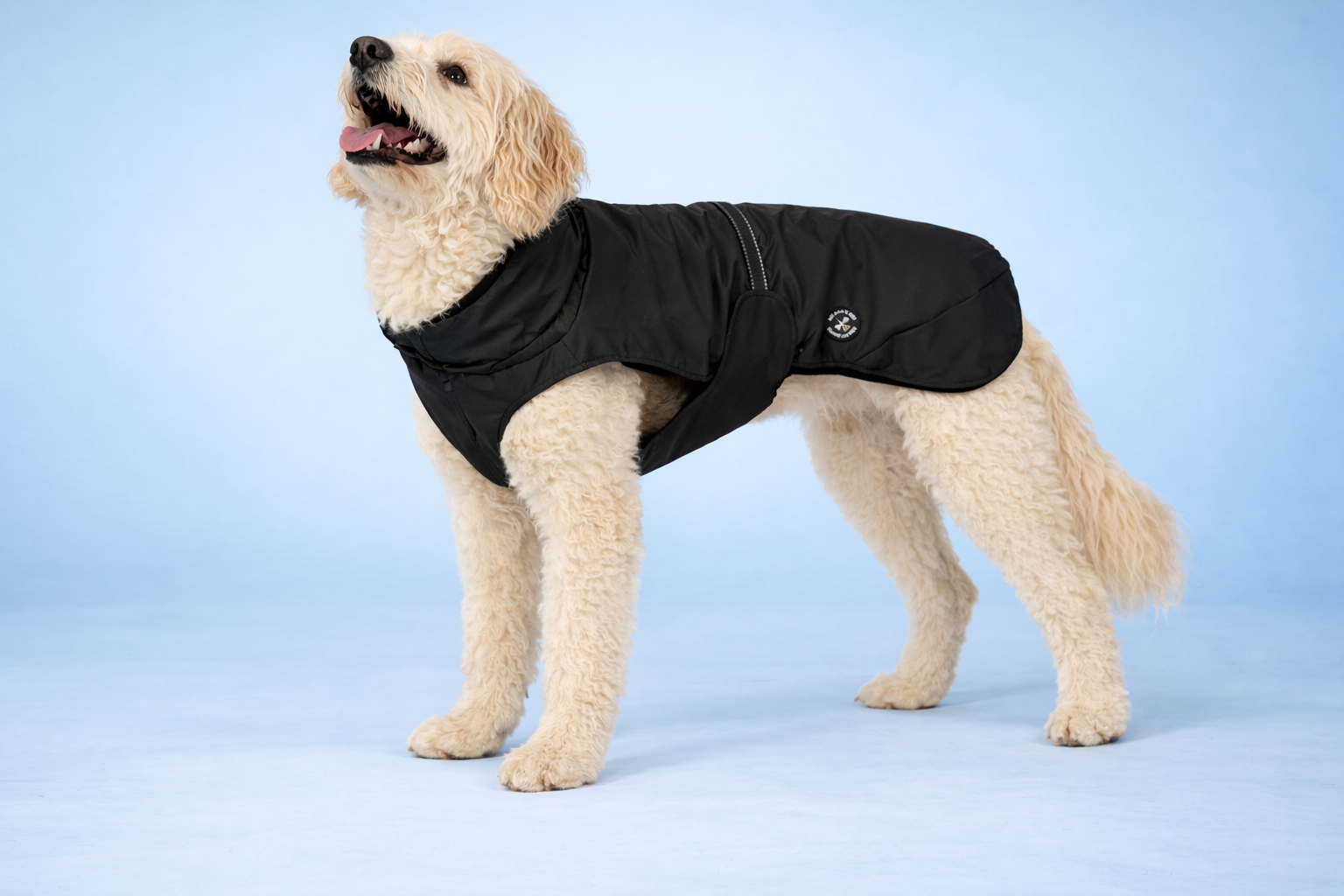 Hunderegenjacke mit Rückenöffnung "Midnight Black"