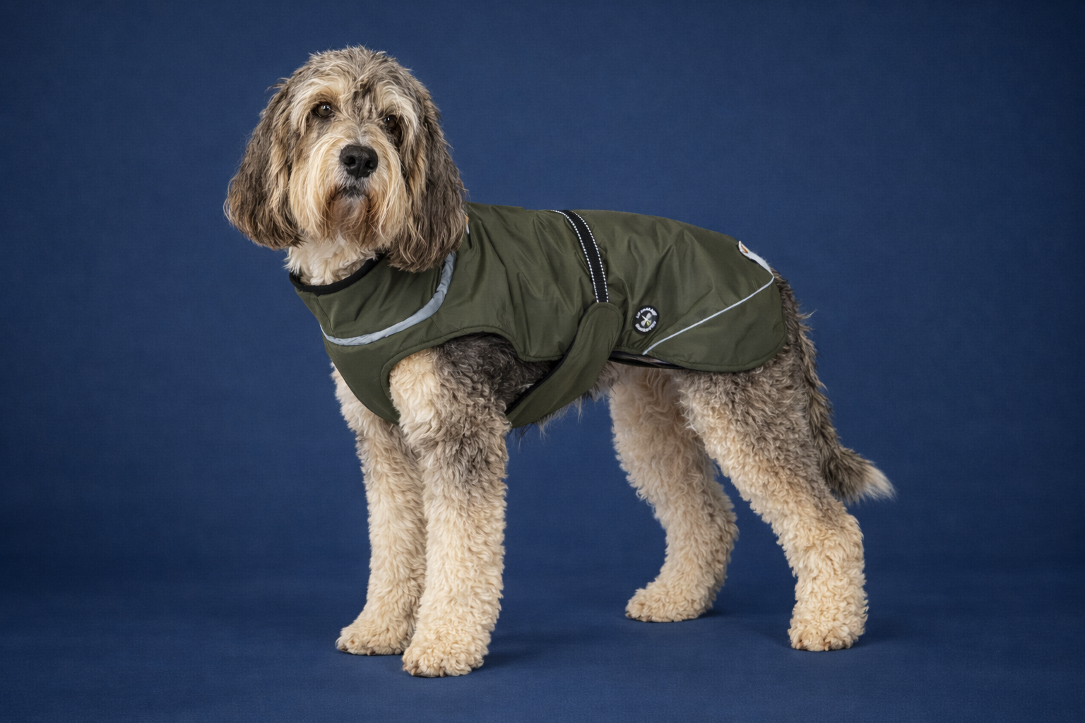 Hundewinterjacke „Moss Green“ – besonders warm - NEU mit Rückenöffnung