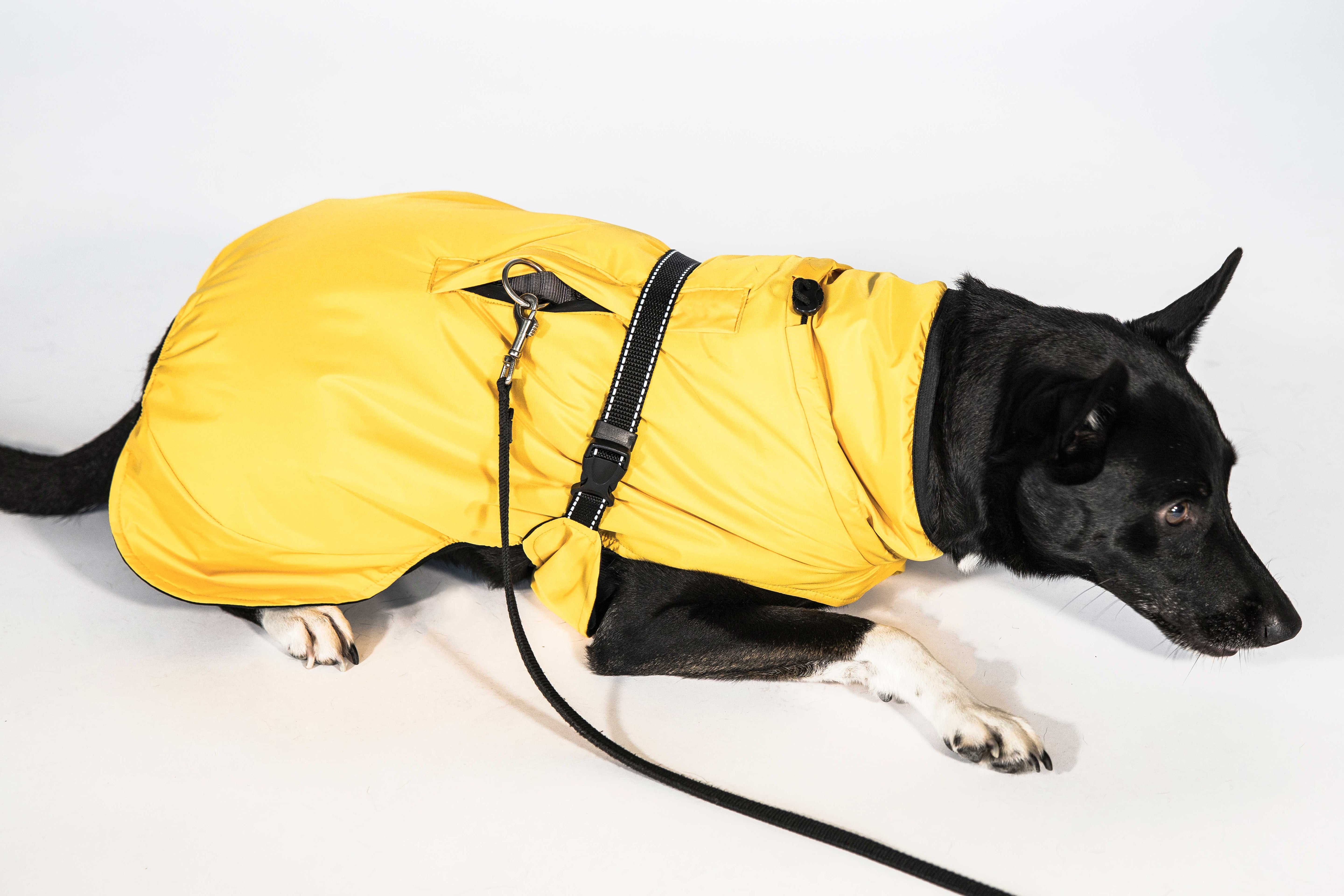 Hunderegenjacke mit Rückenöffnung "Sunshine Yellow" - NEU