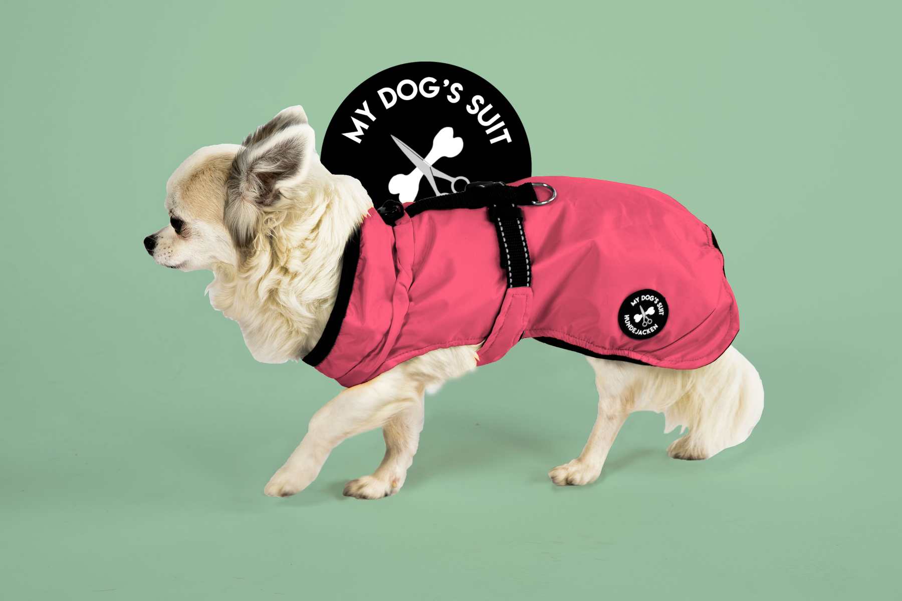 Rain jacket (M, L, XL, 2XL)