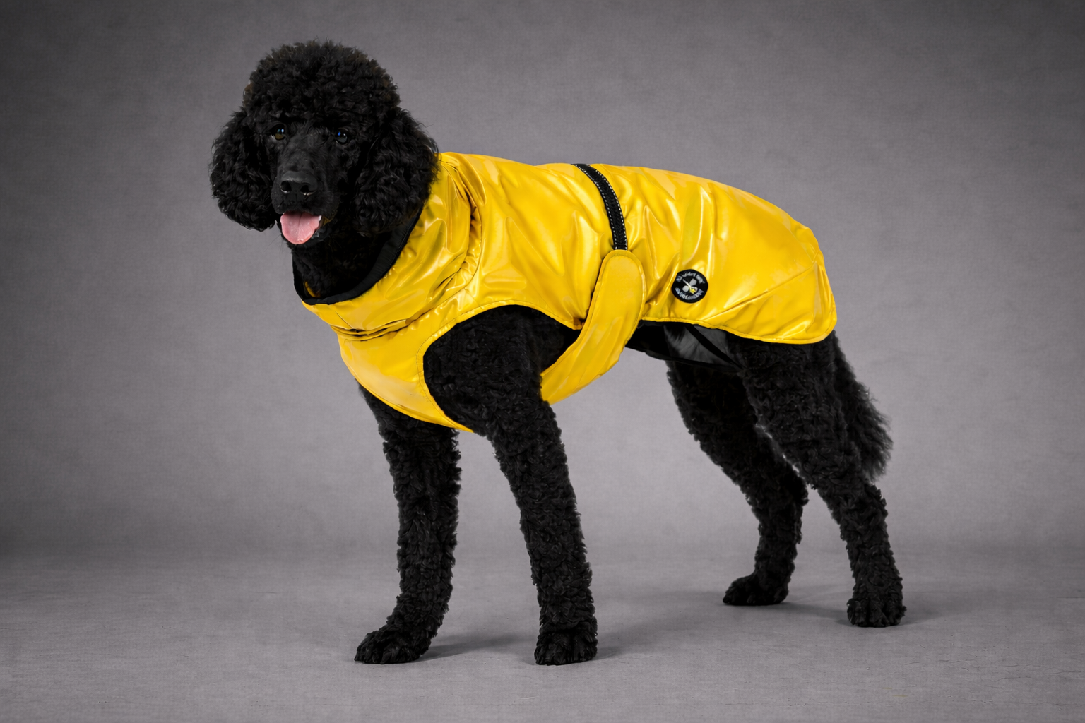 Hunderegenjacke mit Rückenöffnung "Sunshine Yellow"