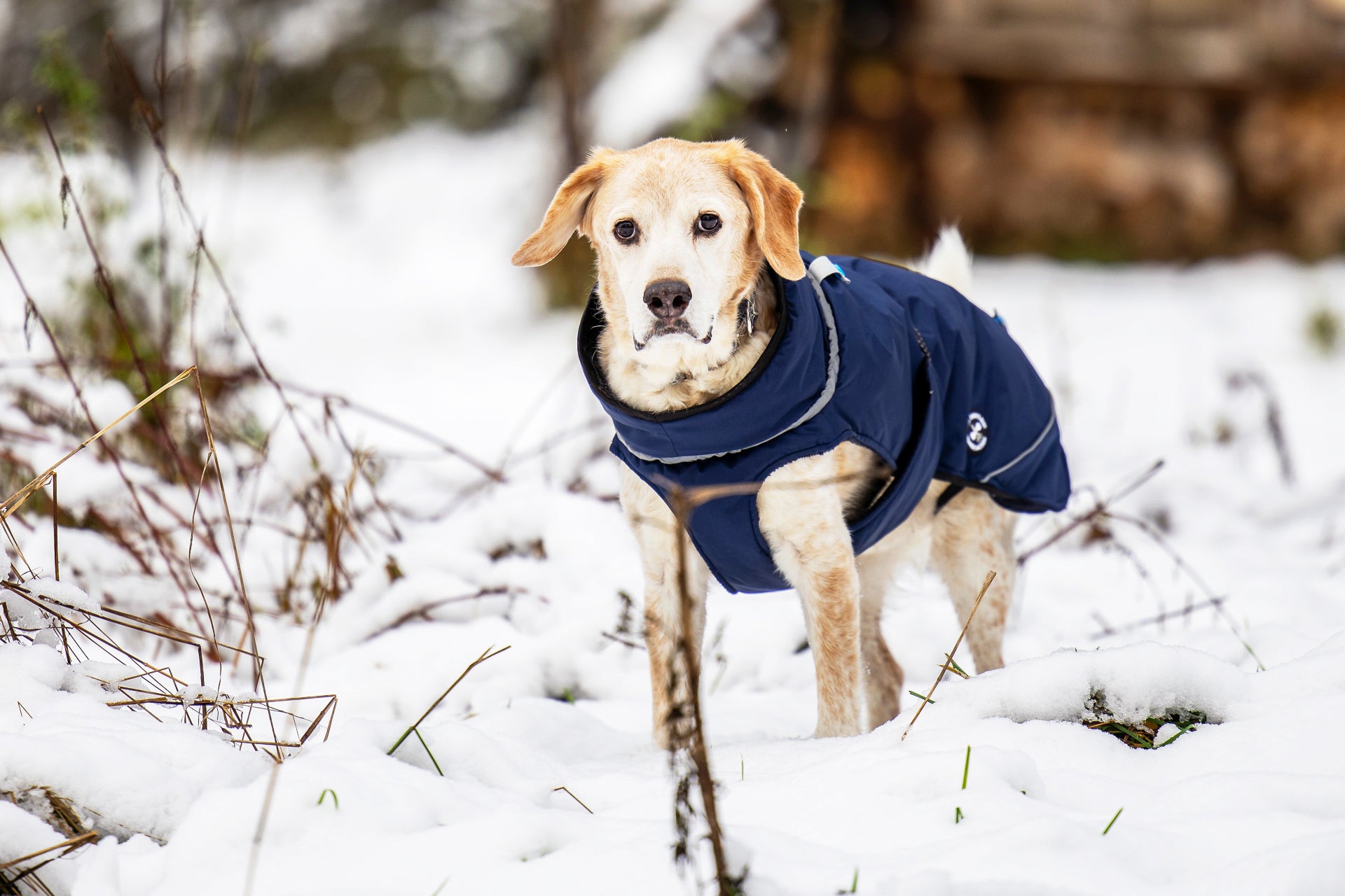 Veste d'hiver (M, L, XL, 2XL)