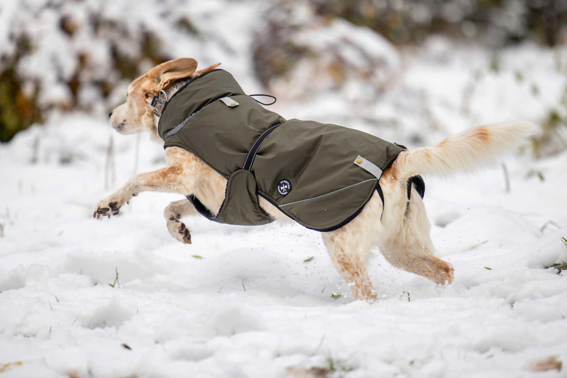 Hundewinterjacke, sehr warm mit Rückenöffnung - NEU