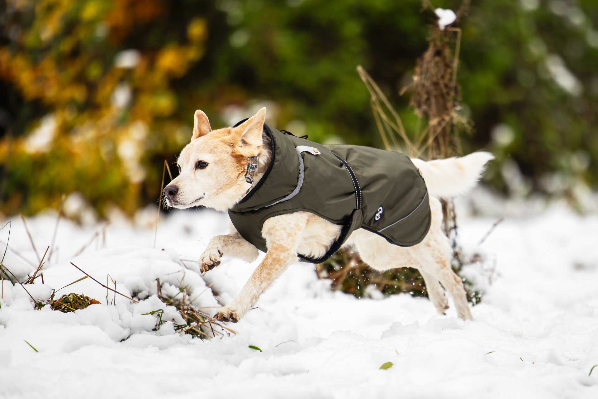 Veste d'hiver (M, L, XL, 2XL)