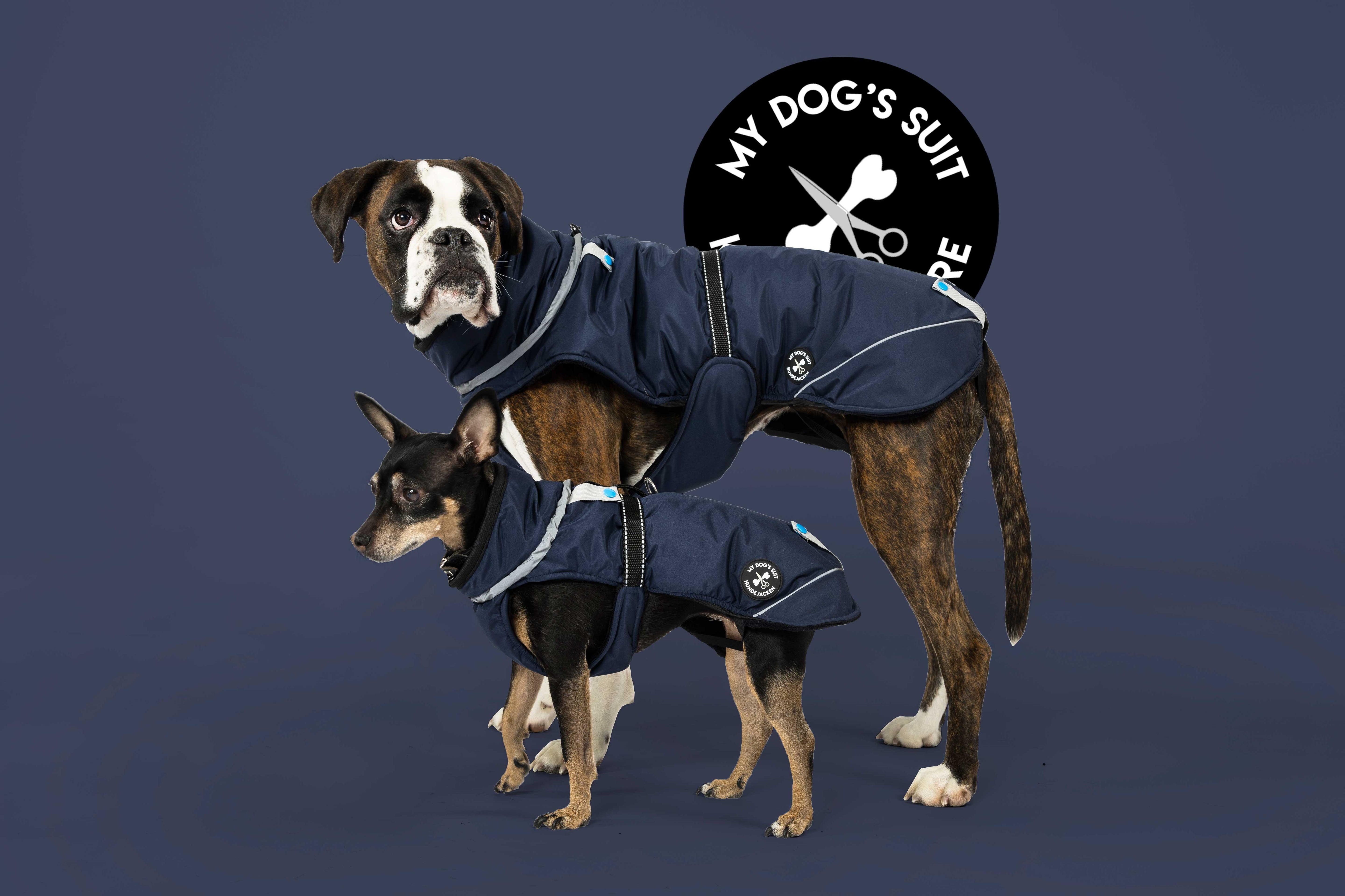 Veste d'hiver (M, L, XL, 2XL)