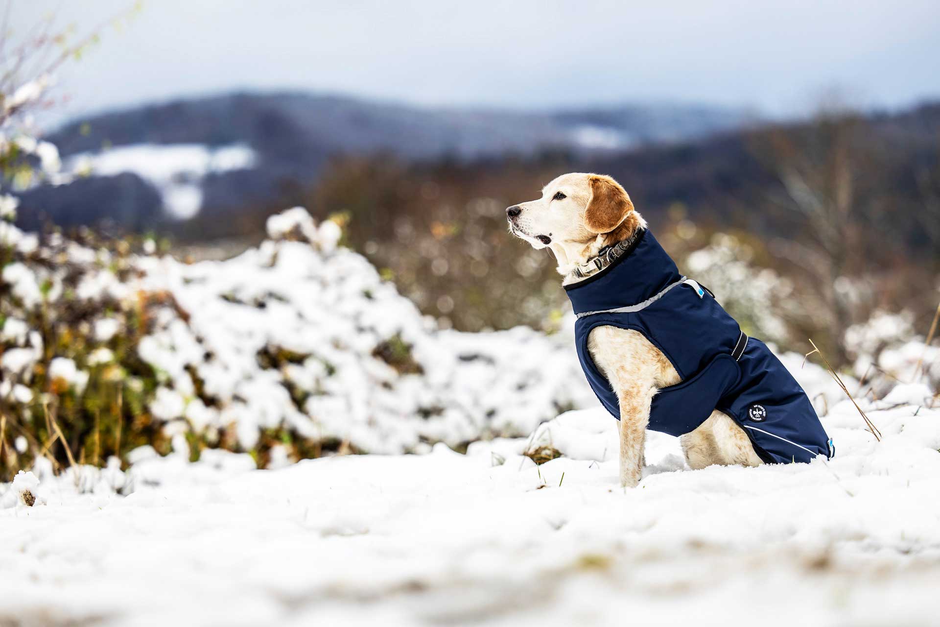 Veste d'hiver (M, L, XL, 2XL)