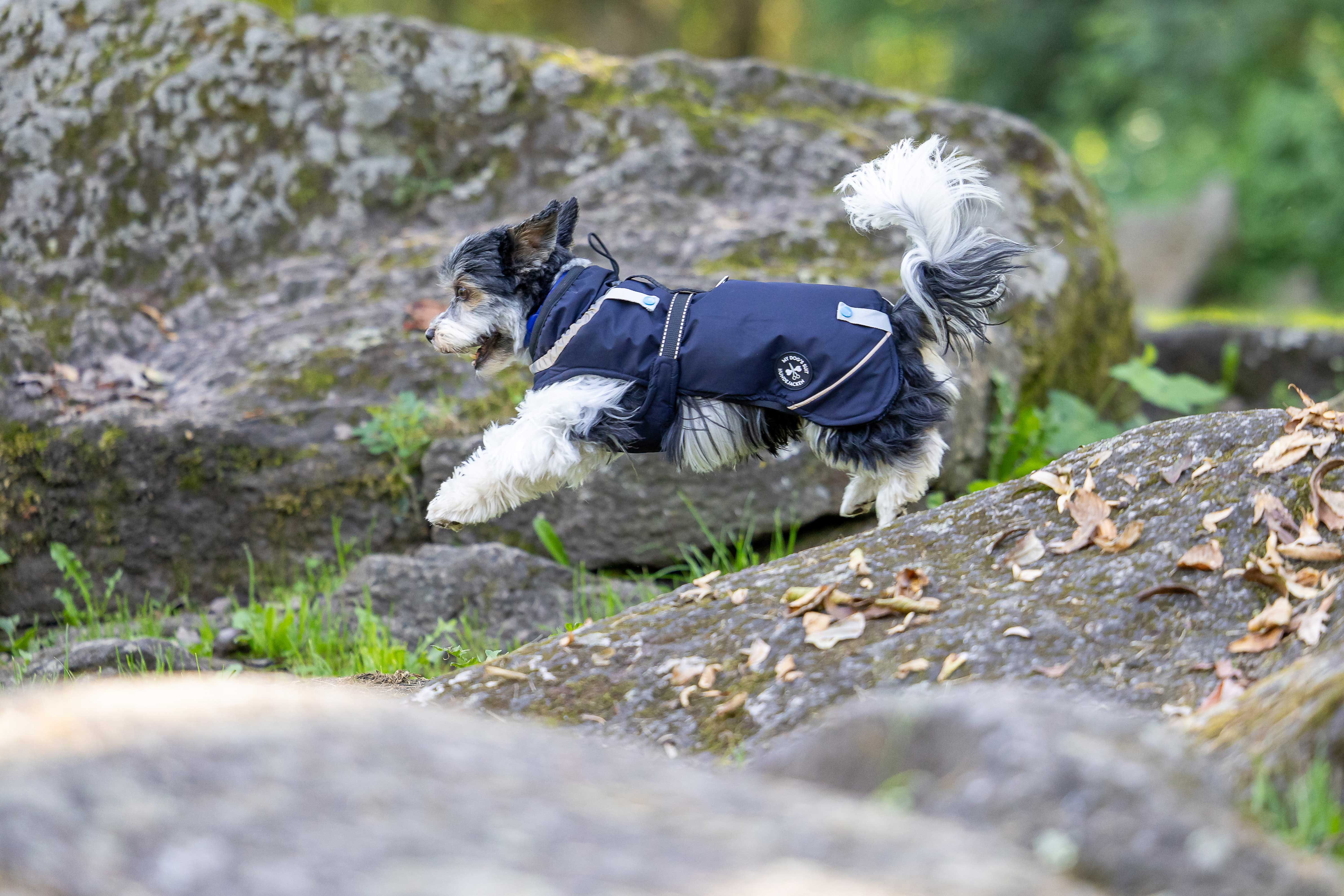 Veste d'hiver (M, L, XL, 2XL)