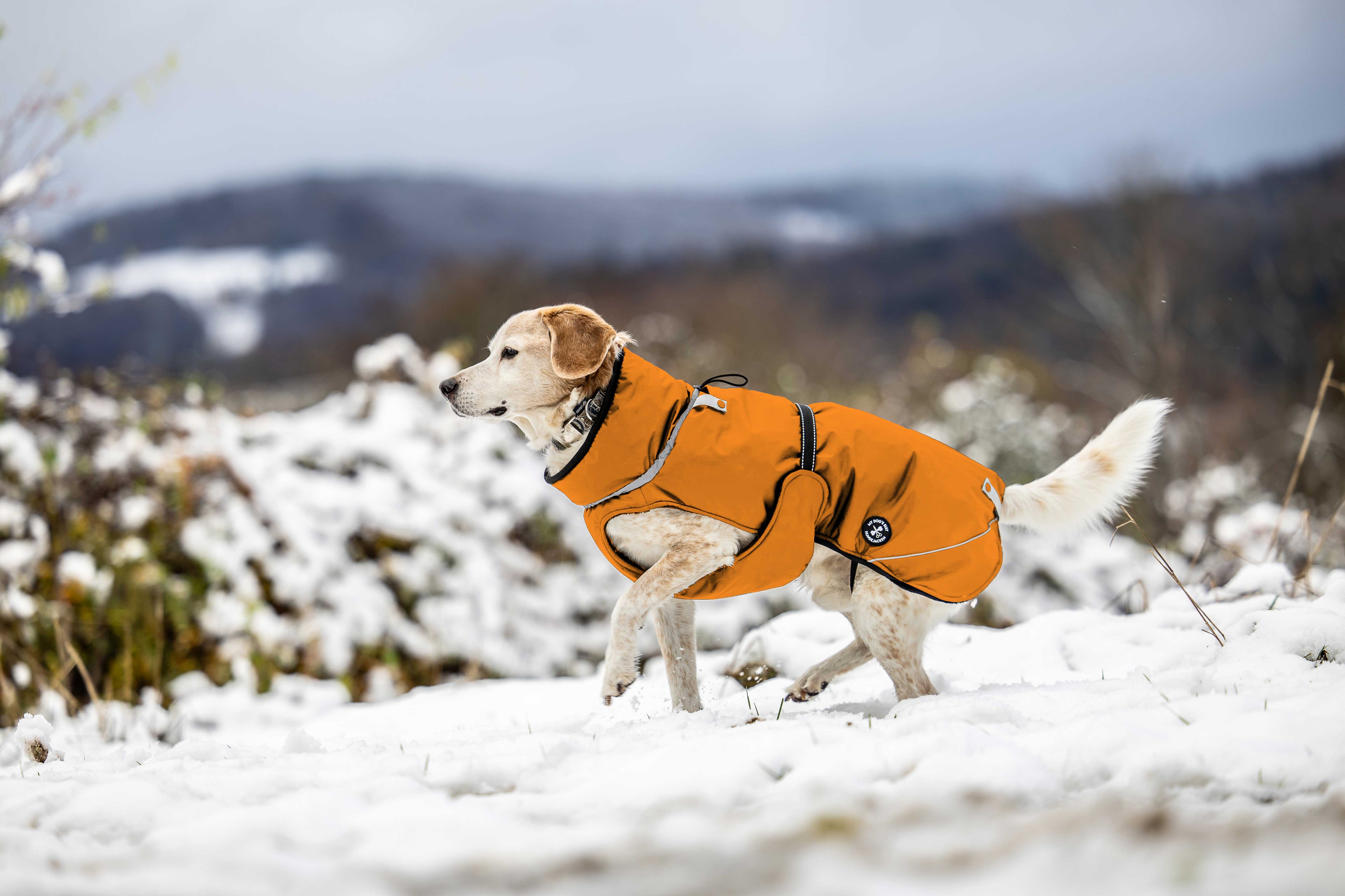 Veste d'hiver (M, L, XL, 2XL)