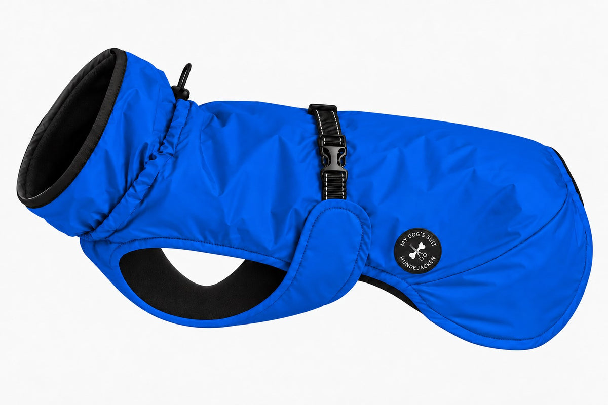 #Farbe_Royal Blue