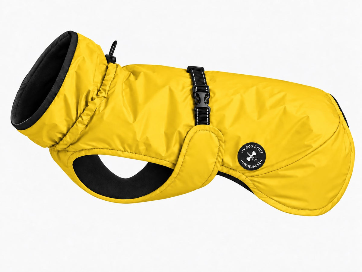#Farbe_Sunshine Yellow