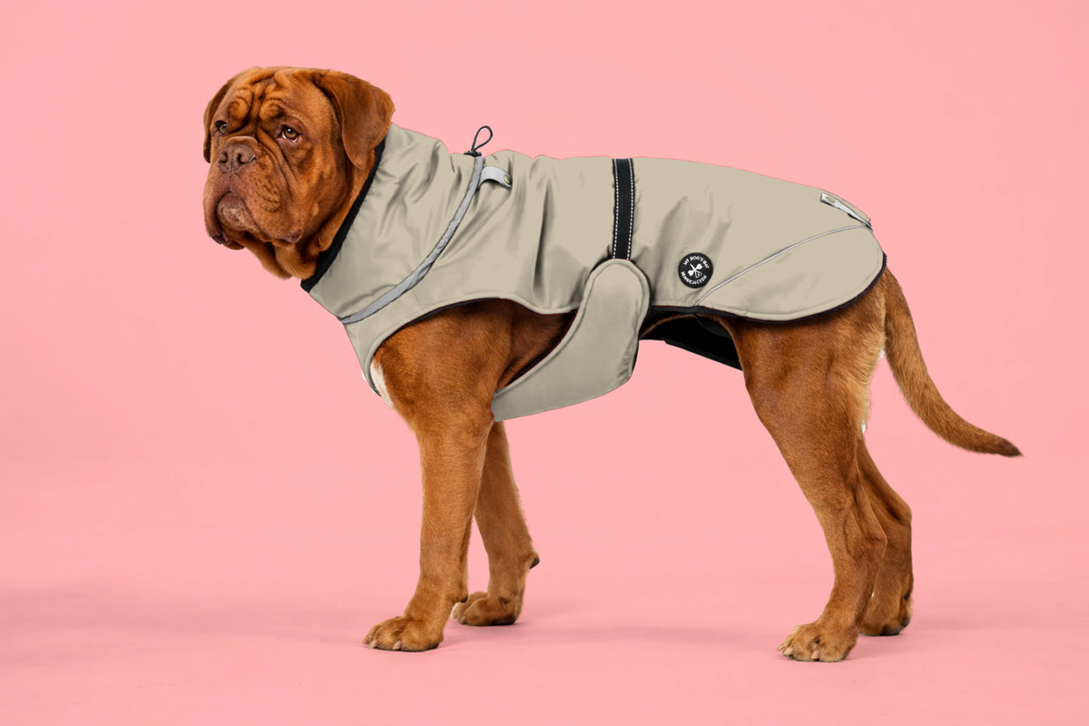 Winter jacket (M, L, XL, 2XL)