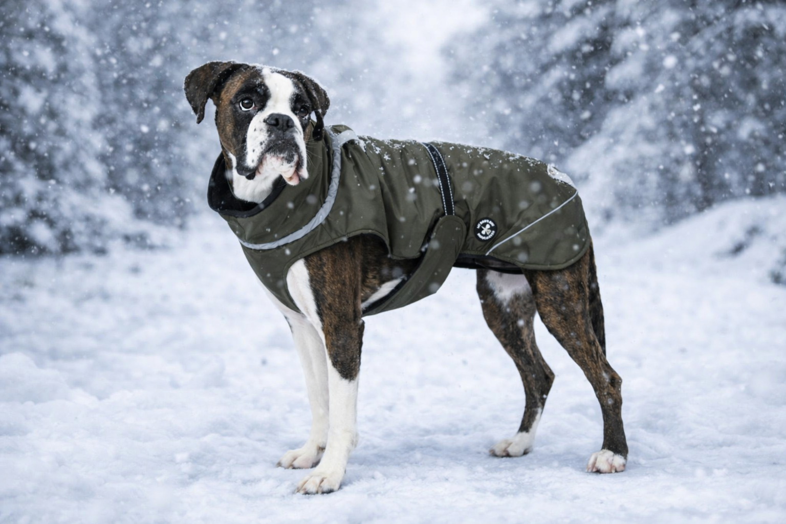 Veste d'hiver (M, L, XL, 2XL)