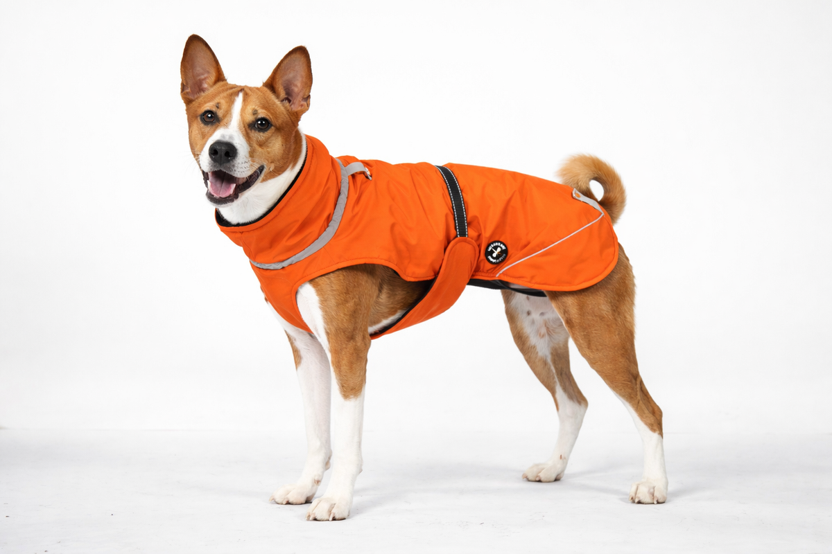Winter jacket (M, L, XL, 2XL)