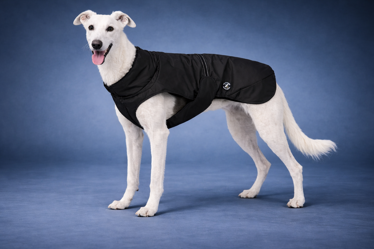 Hunderegenjacke mit Rückenöffnung "Midnight Black" - NEU