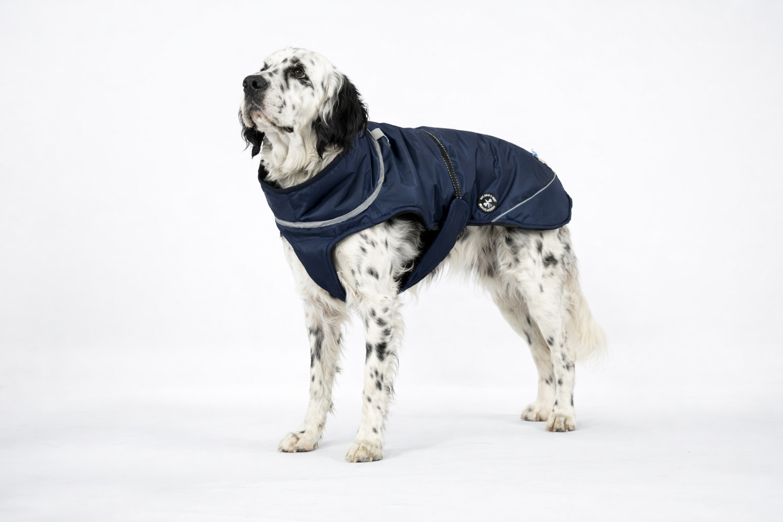 Hundewinterjacke "Navy Blue" - besonders warm - NEU mit Rückenöffnung