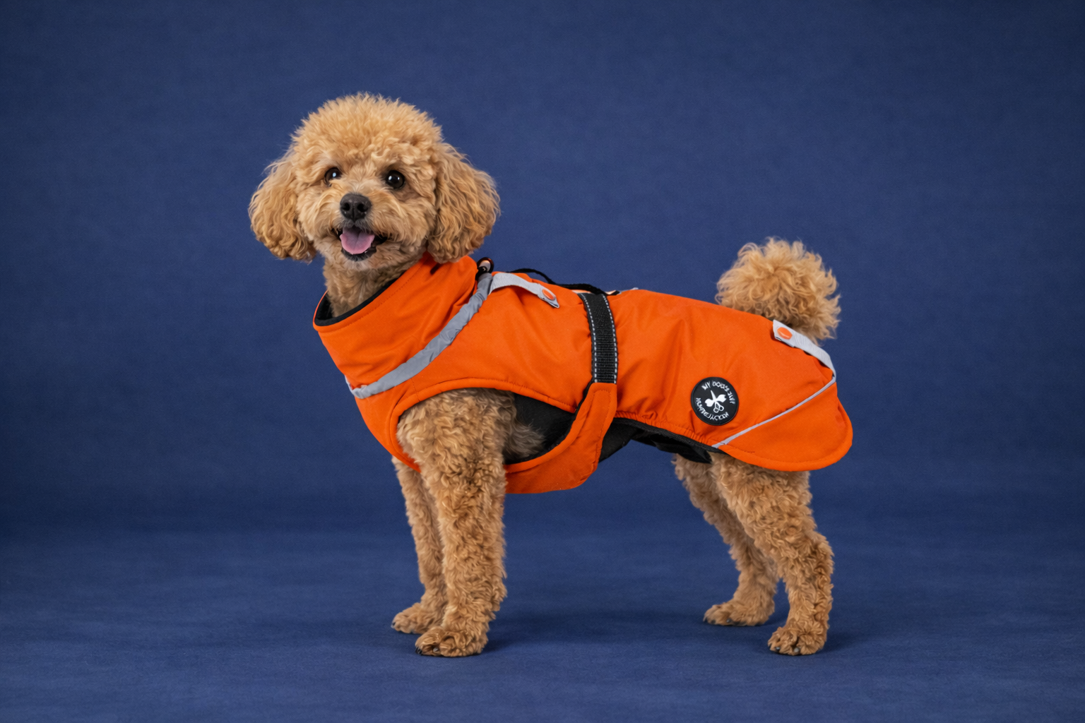 Hundewinterjacke „Sunrise Orange" - besonders warm - NEU mit Rückenöffnung