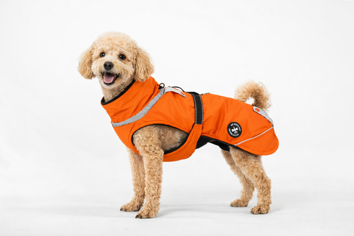 Winter jacket (M, L, XL, 2XL)
