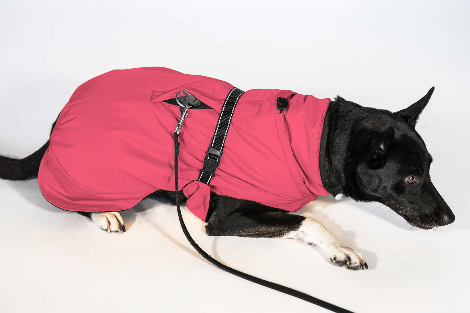 Veste de pluie (M, L, XL, 2XL)