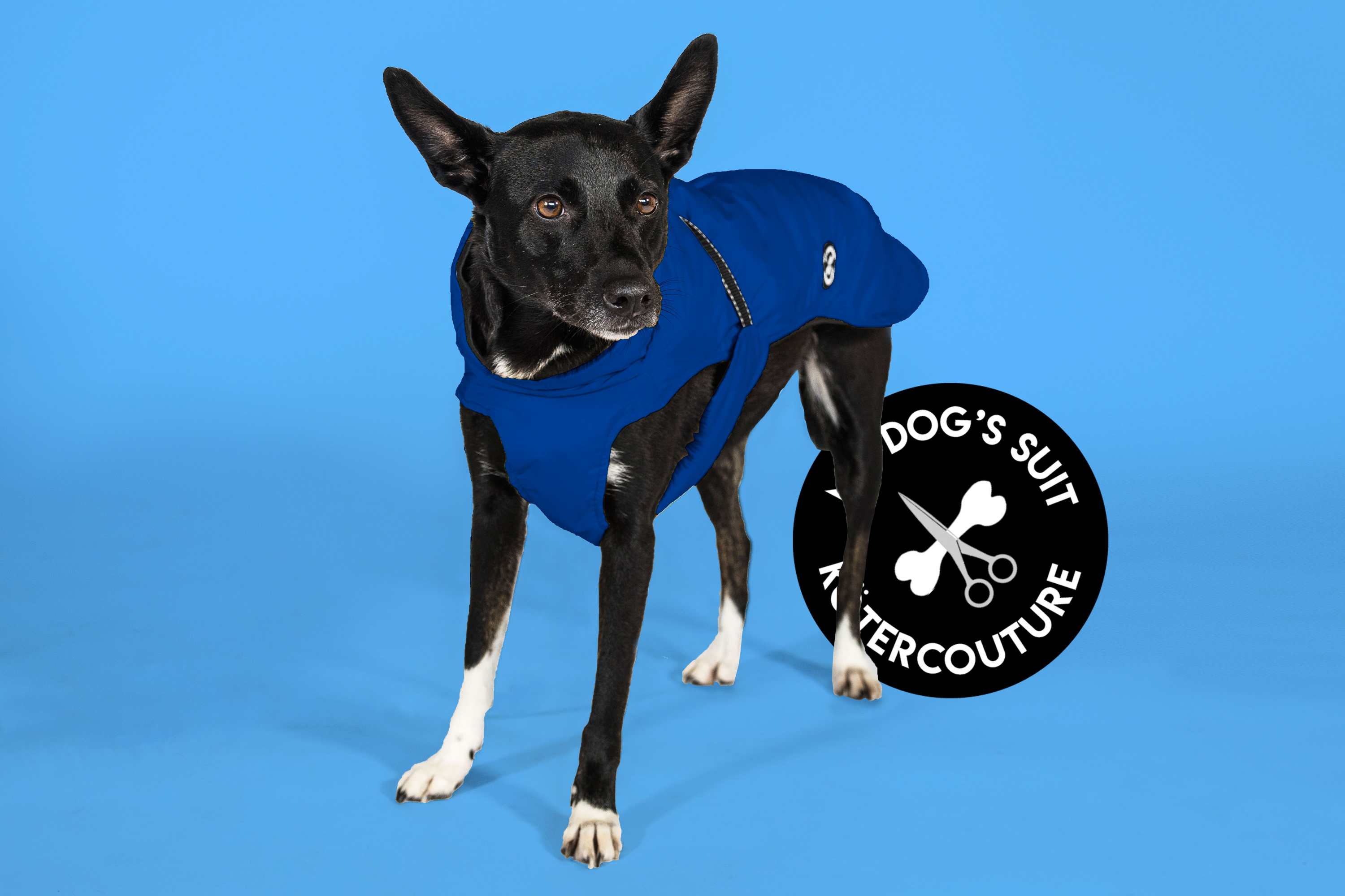 Hunderegenjacke mit Rückenöffnung "Royal Blue" - NEU