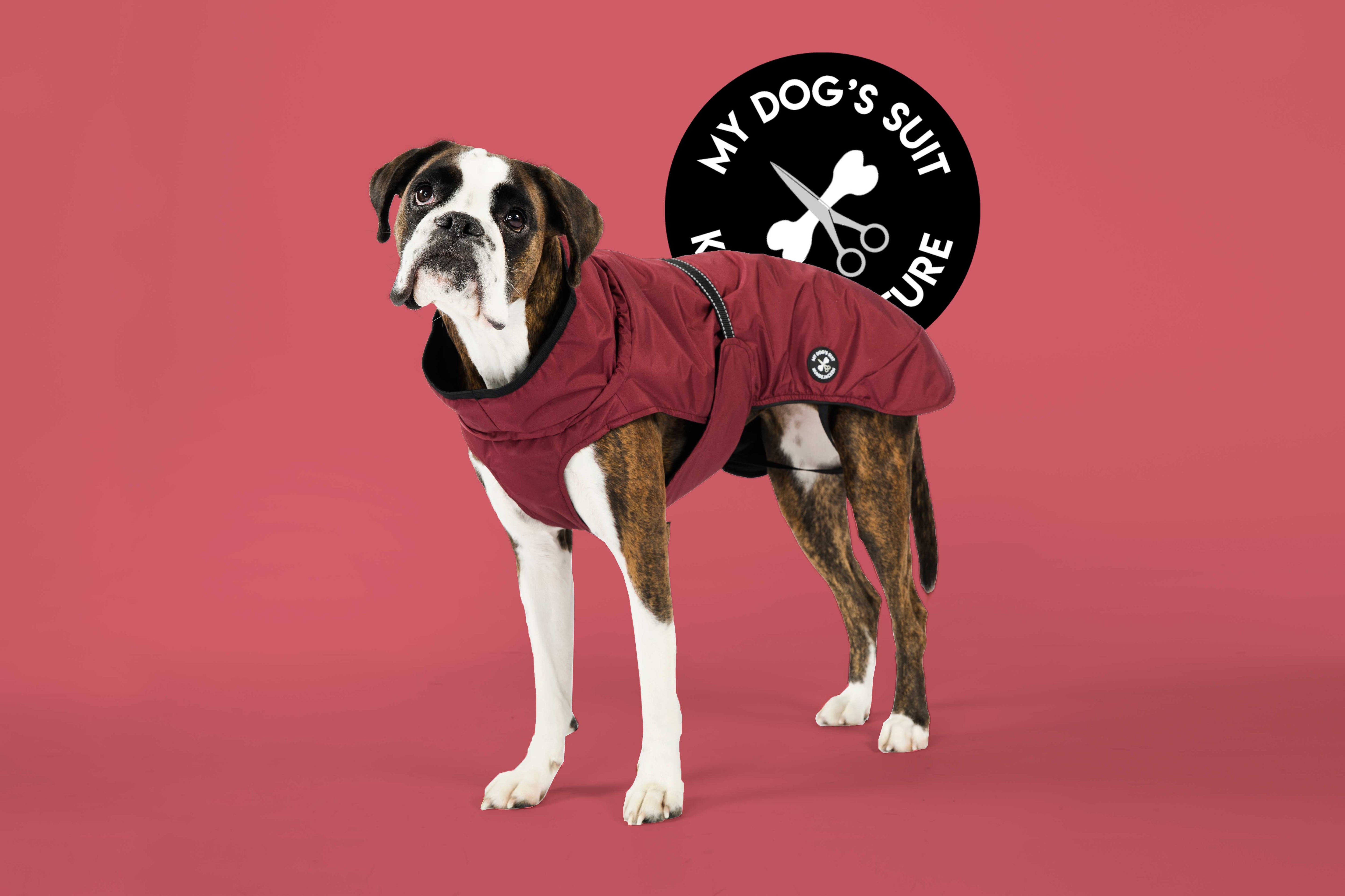 Rain jacket (M, L, XL, 2XL)