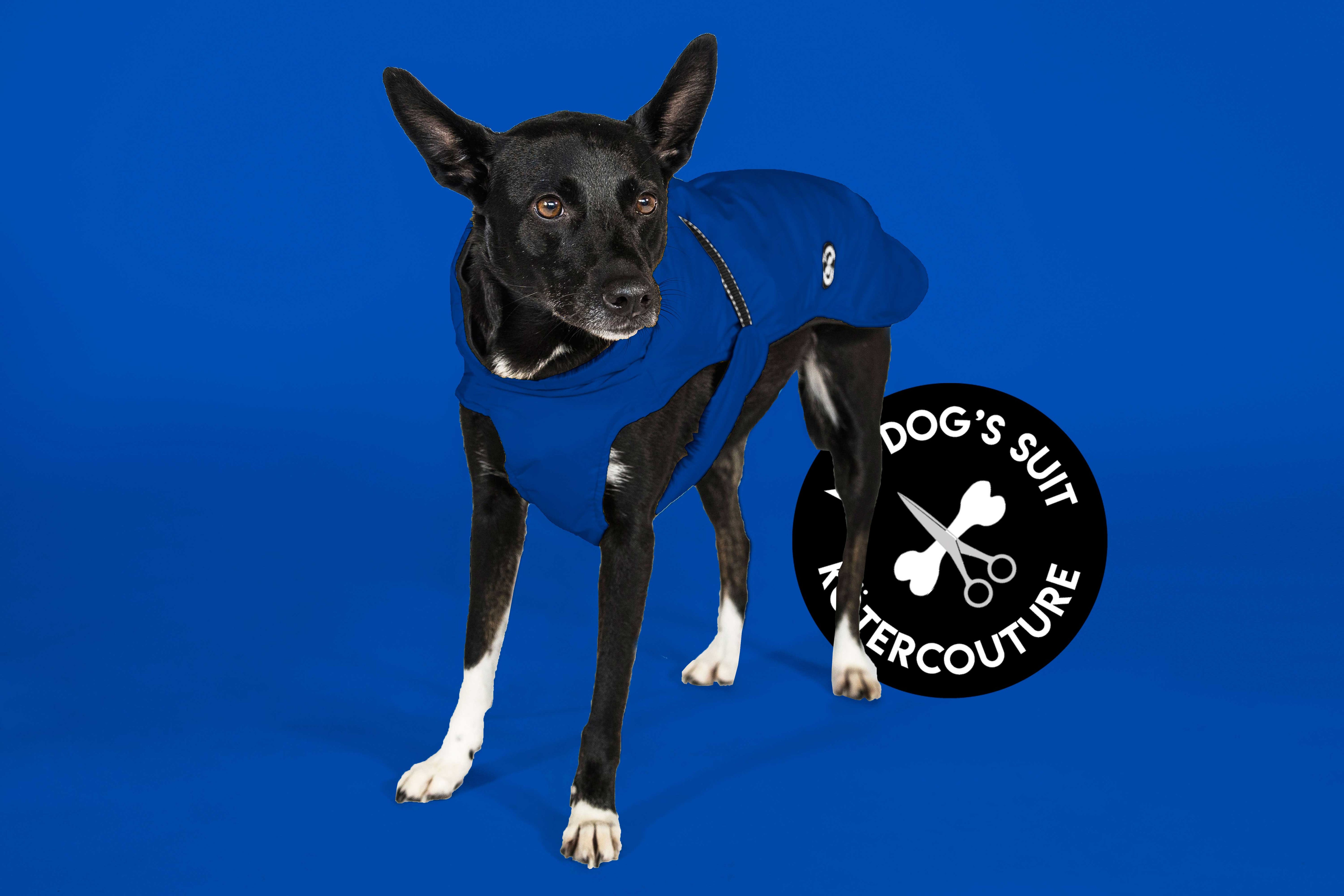 Hunderegenjacke mit Rückenöffnung "Royal Blue" - NEU