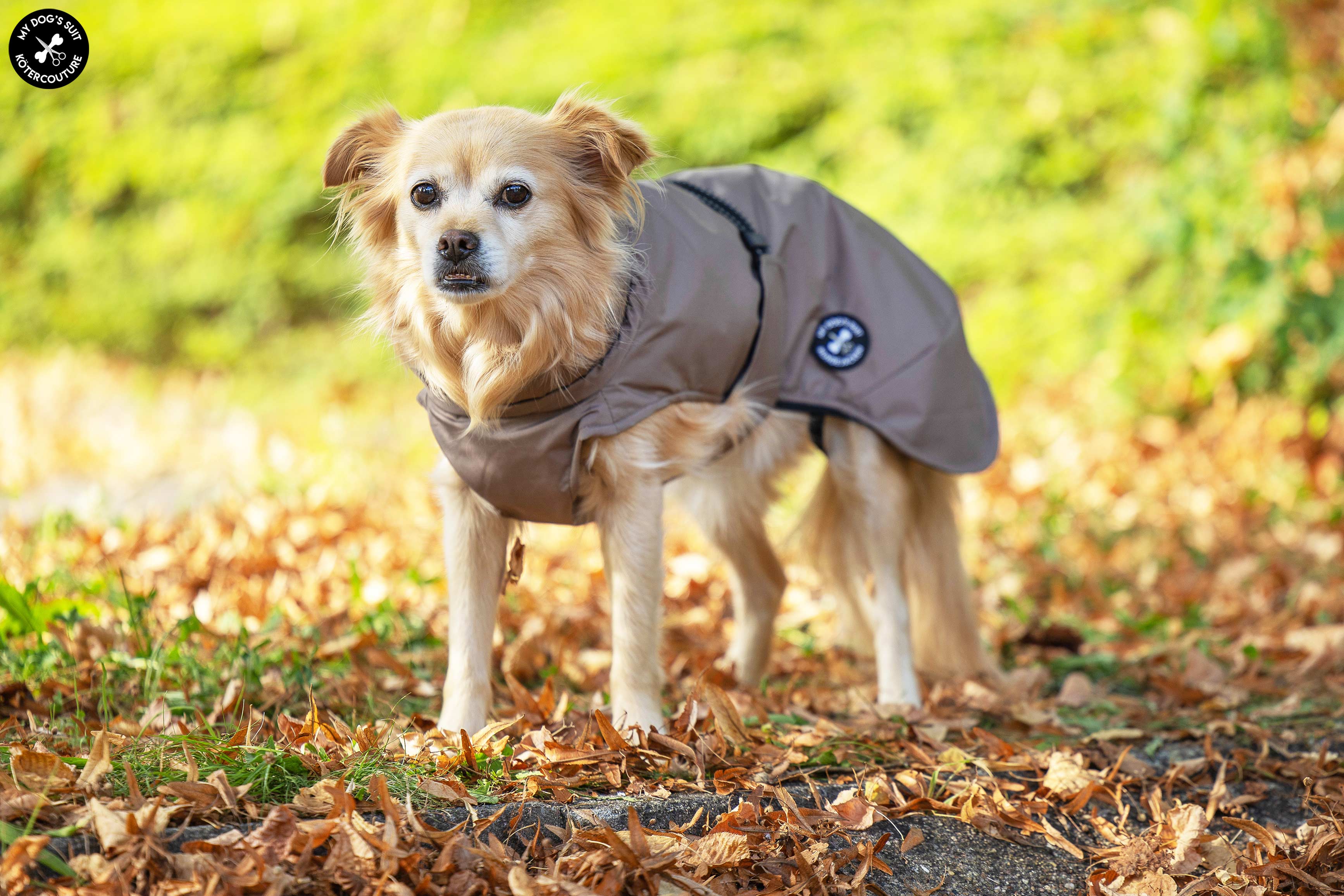 Veste de pluie (M, L, XL, 2XL)