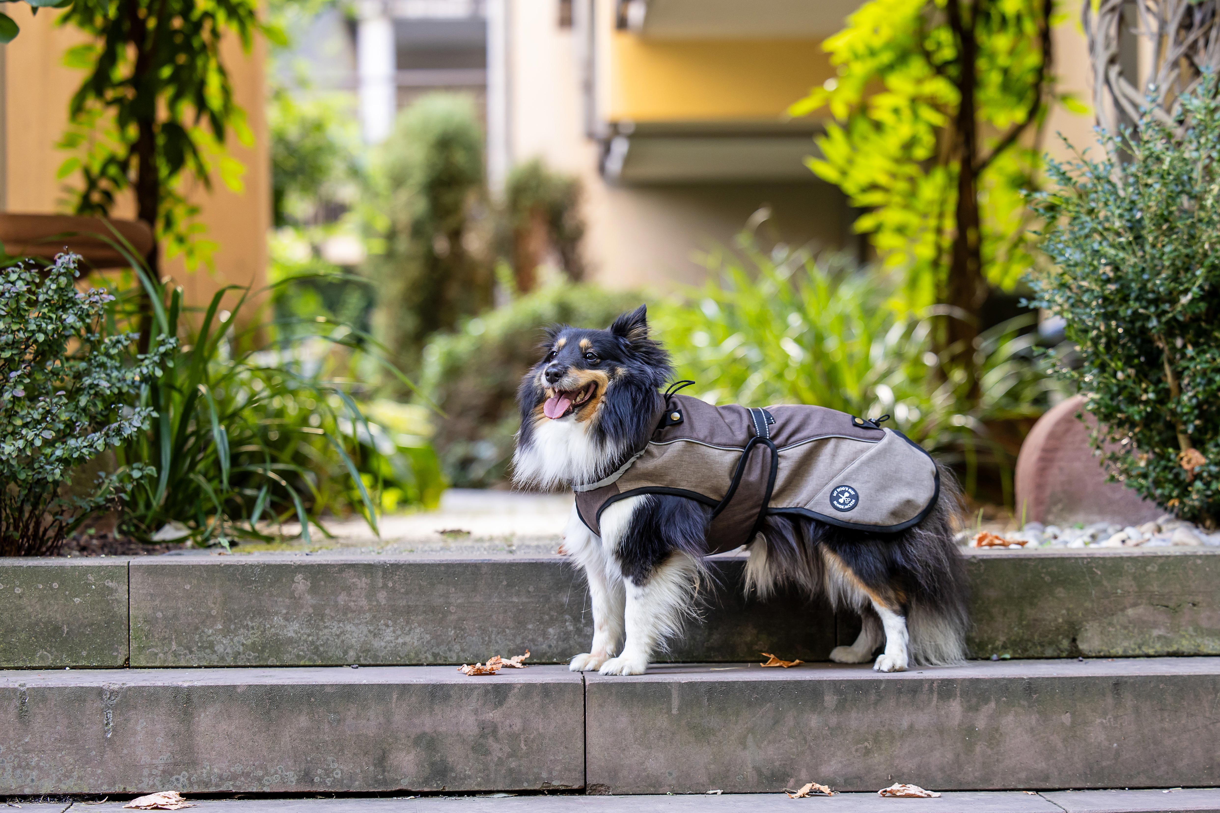 Softshelljacke für Hunde mit Rückenöffnung - NEU