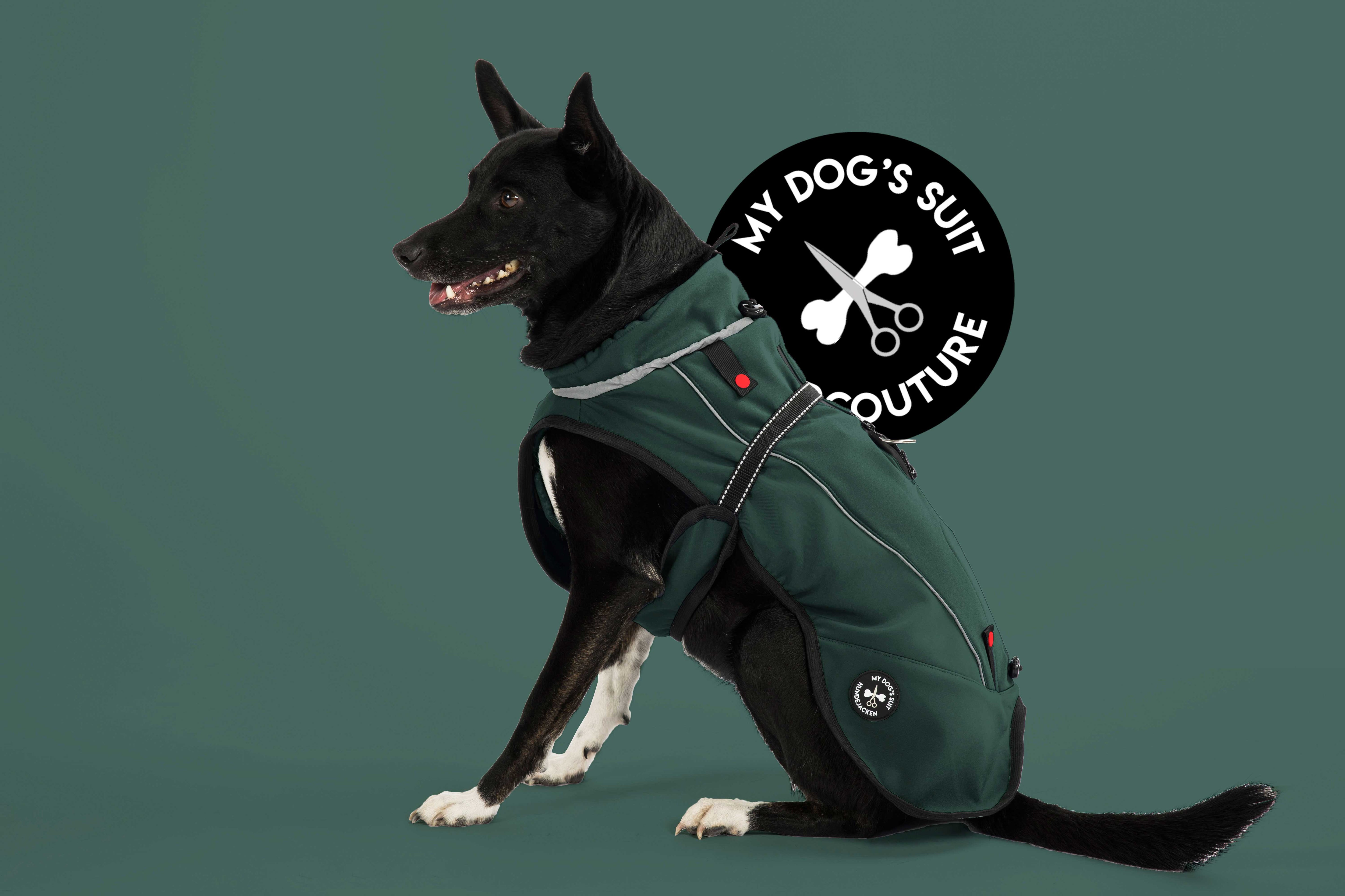 Softshell jacket (M, L, XL, 2XL)