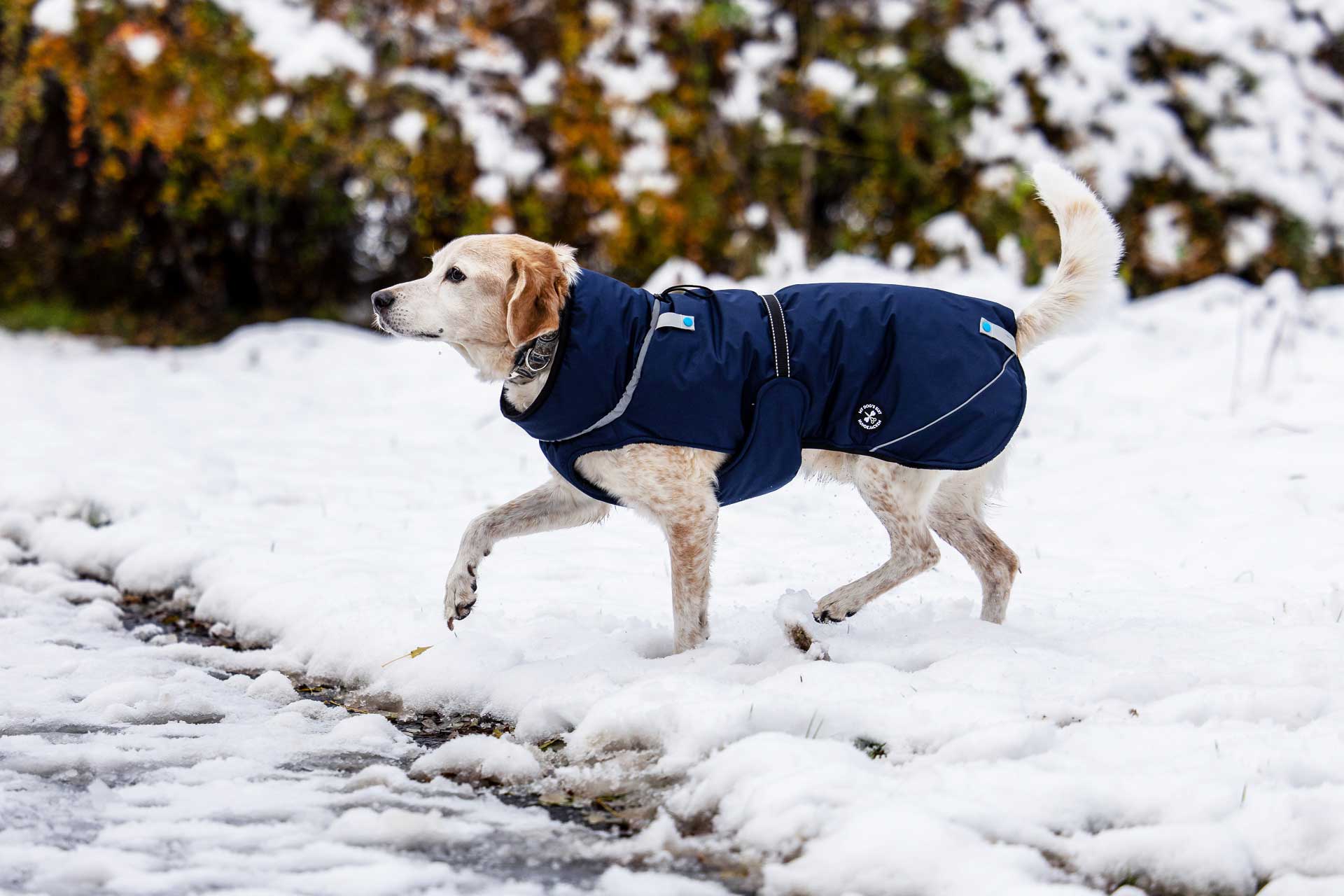 Veste d'hiver (M, L, XL, 2XL)